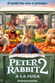 Peter Rabbit 2: A la fuga