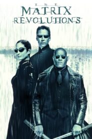 Matrix Revolutions