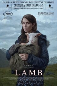 Lamb