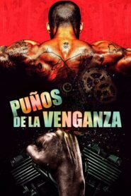 Puños de la venganza