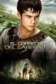 El corredor del laberinto (Maze Runner)