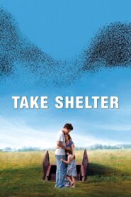 Atormentado (Take Shelter)