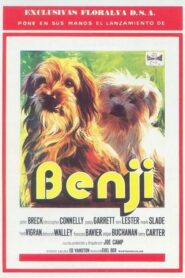 Benji