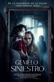 Gemelo siniestro