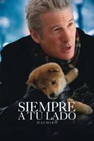 hachiko – Siempre a tu lado