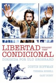 Libertad condicional