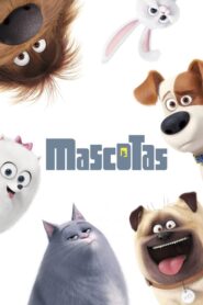 Mascotas / La vida secreta de tus mascotas