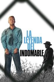 La leyenda del indomable