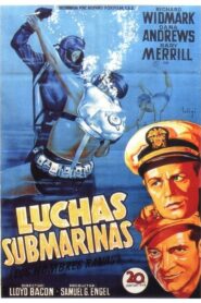 Los hombres ranas / Luchas submarinas