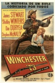 Winchester 73